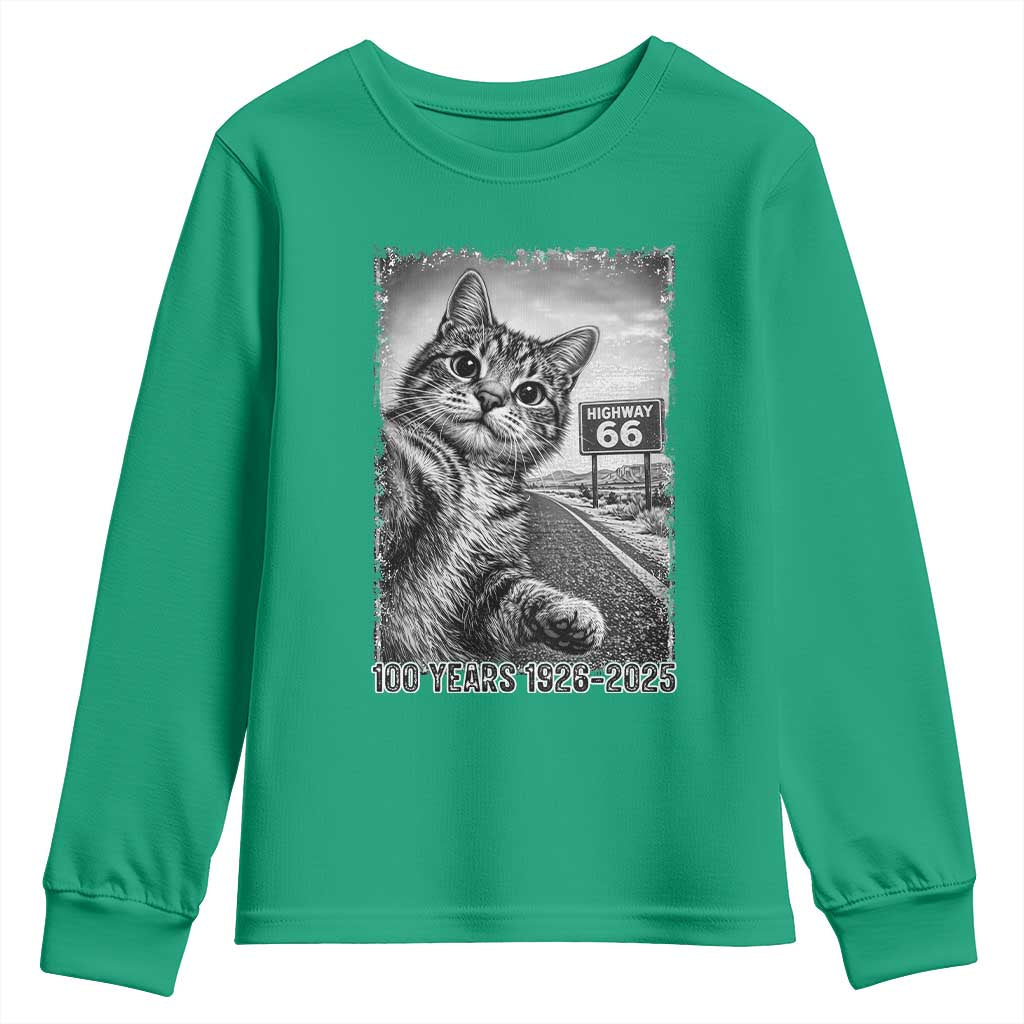 Funny Road Trip Cat Selfie with Highway 66 Youth Sweatshirt Centennial 1926-2026 Historic Highway Humor TS02 Irish Green Print Your Wear