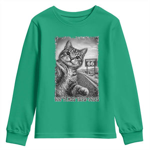 Funny Road Trip Cat Selfie with Highway 66 Youth Sweatshirt Centennial 1926-2026 Historic Highway Humor TS02 Irish Green Print Your Wear