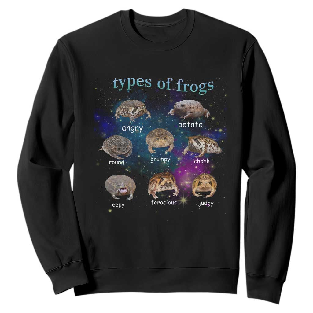 Types Of Frogs Funny Rain Frog Meme Chart Sweatshirt Angry Grumpy Eepy Chonk Potato Round Judgy Ferocious TS02 Black Print Your Wear