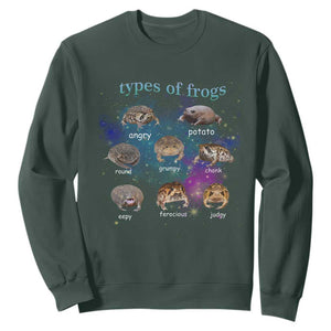 Types Of Frogs Funny Rain Frog Meme Chart Sweatshirt Angry Grumpy Eepy Chonk Potato Round Judgy Ferocious