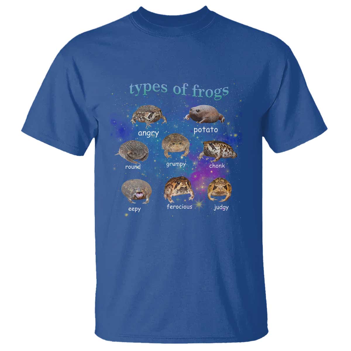 Types Of Frogs Funny Rain Frog Meme Chart T Shirt Angry Grumpy Eepy Chonk Potato Round Judgy Ferocious