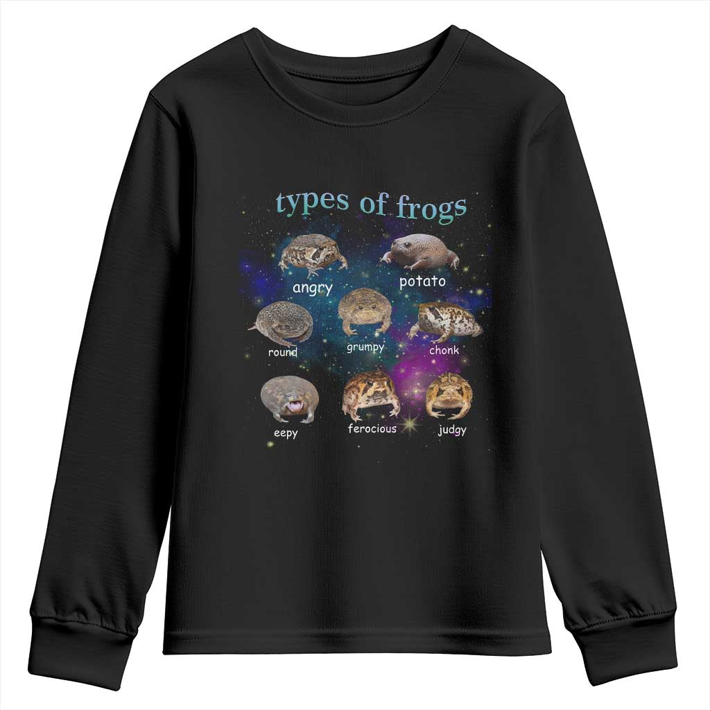 Types Of Frogs Funny Rain Frog Meme Chart Youth Sweatshirt Angry Grumpy Eepy Chonk Potato Round Judgy Ferocious TS02 Black Print Your Wear