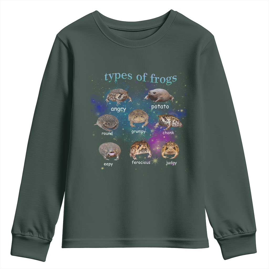 Types Of Frogs Funny Rain Frog Meme Chart Youth Sweatshirt Angry Grumpy Eepy Chonk Potato Round Judgy Ferocious