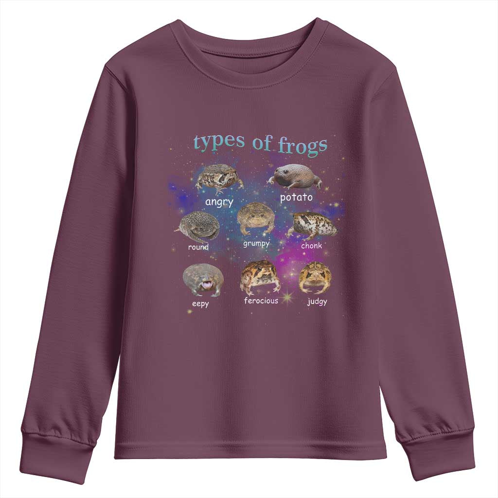 Types Of Frogs Funny Rain Frog Meme Chart Youth Sweatshirt Angry Grumpy Eepy Chonk Potato Round Judgy Ferocious