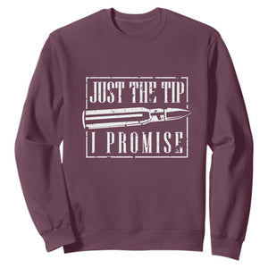 Funny Gun Owner Sweatshirt Just The Tip I Promise T-Shirt A Funny Gun Owner Tee TS02 Maroon Print Your Wear