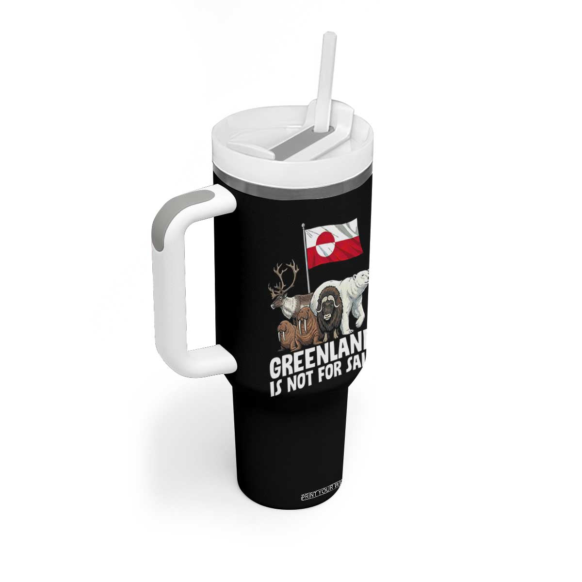 Greenland Is Not For Sale Tumbler With Handle Arctic Animal Resist Protest Greenland Flag TS02 Print Your Wear