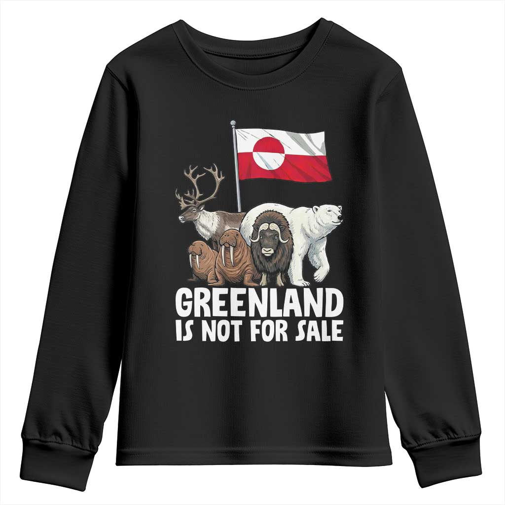 Greenland Is Not For Sale Youth Sweatshirt Arctic Animal Resist Protest Greenland Flag TS02 Black Print Your Wear
