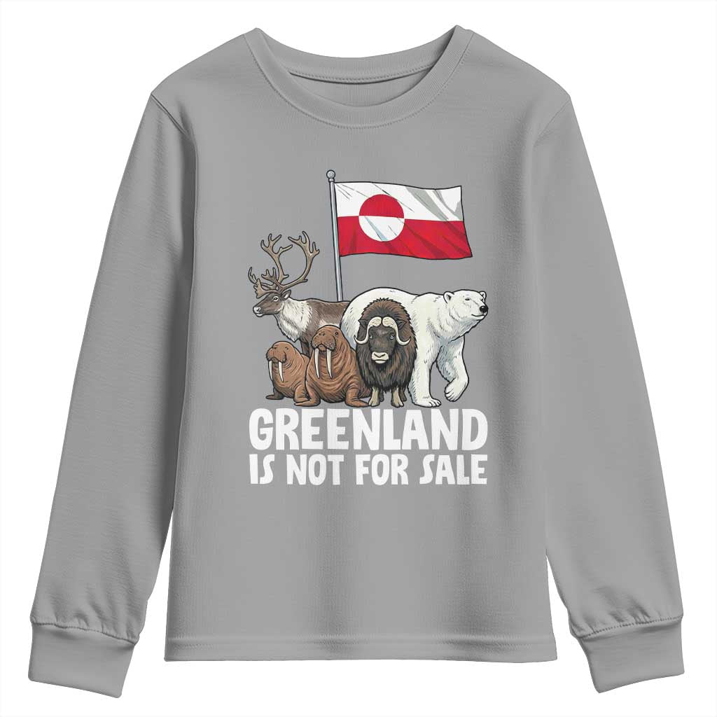 Greenland Is Not For Sale Youth Sweatshirt Arctic Animal Resist Protest Greenland Flag TS02 Sport Gray Print Your Wear
