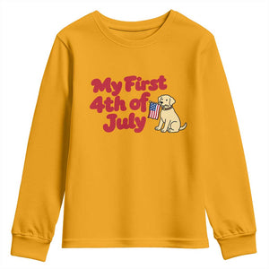 My First 4th of July Cute Golden Retriever Puppy Dog Youth Sweatshirt American Flag Independence Holiday Milestone