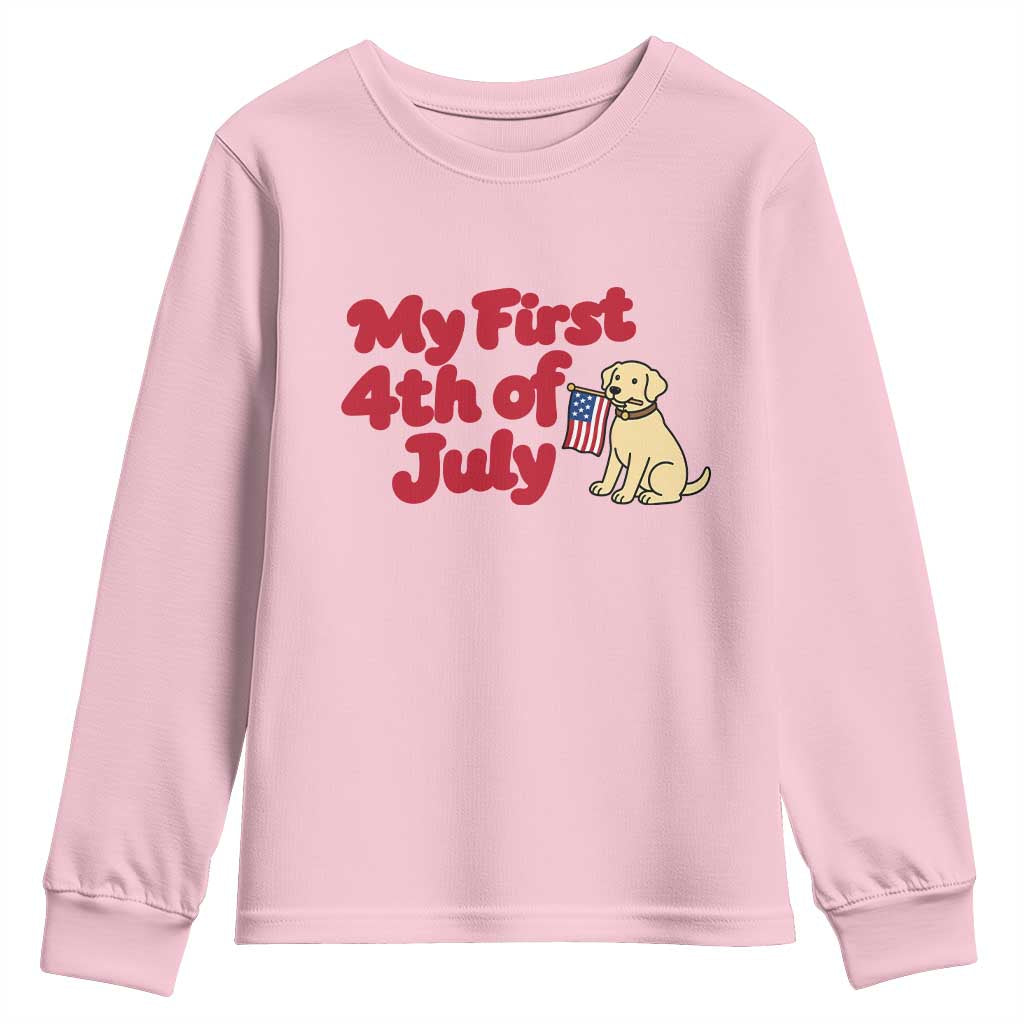 My First 4th of July Cute Golden Retriever Puppy Dog Youth Sweatshirt American Flag Independence Holiday Milestone