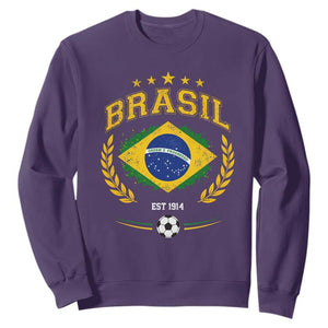 Retro Brasil Soccer Pride Crest Est 1914 Sweatshirt Vintage Brazil Flag Futbol Lover Football Fans