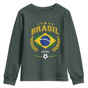 Retro Brasil Soccer Pride Crest Est 1914 Youth Sweatshirt Vintage Brazil Flag Futbol Lover Football Fans