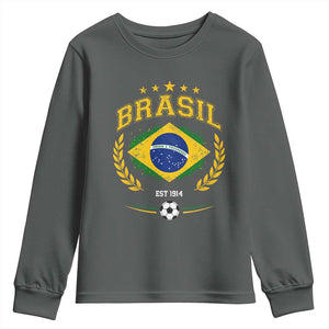 Retro Brasil Soccer Pride Crest Est 1914 Youth Sweatshirt Vintage Brazil Flag Futbol Lover Football Fans