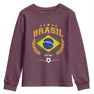 Retro Brasil Soccer Pride Crest Est 1914 Youth Sweatshirt Vintage Brazil Flag Futbol Lover Football Fans