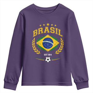 Retro Brasil Soccer Pride Crest Est 1914 Youth Sweatshirt Vintage Brazil Flag Futbol Lover Football Fans