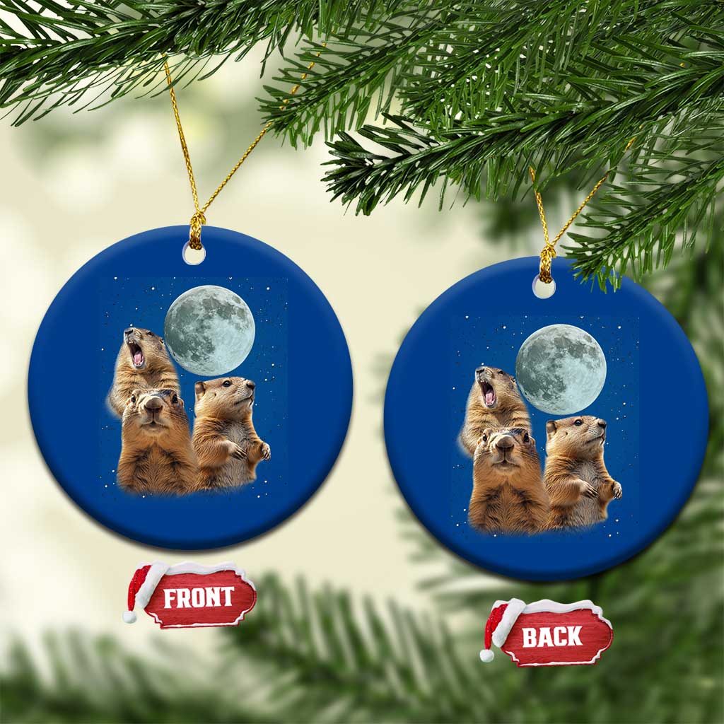 Funny Three Groundhog Meme Ceramic Ornament Woodchucks Under The Moon TS02 1pc Blue Print Your Wear
