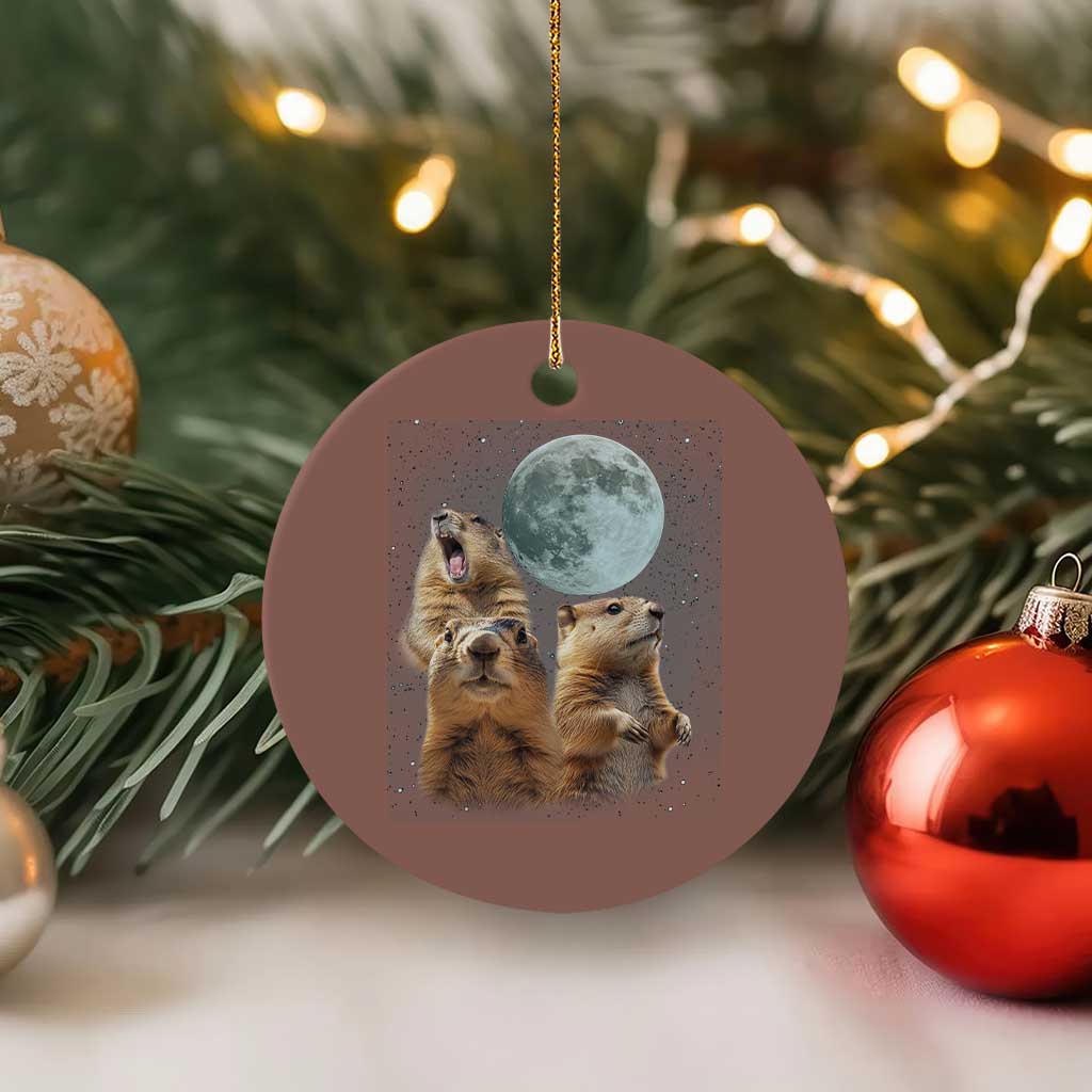 Funny Three Groundhog Meme Ceramic Ornament Woodchucks Under The Moon TS02 1pc Mocha Print Your Wear