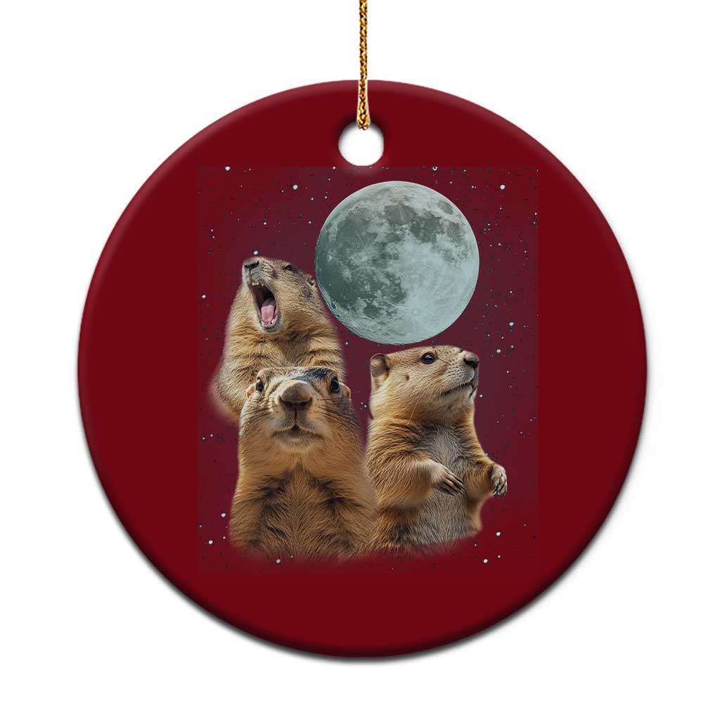 Funny Three Groundhog Meme Ceramic Ornament Woodchucks Under The Moon TS02 1pc Red Print Your Wear