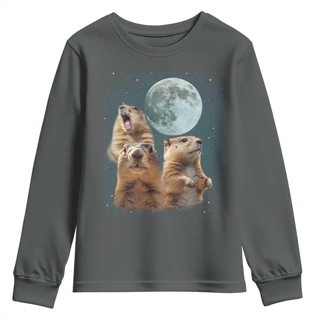 Funny Three Groundhog Meme Youth Sweatshirt Woodchucks Under The Moon TS02 Dark Heather Print Your Wear