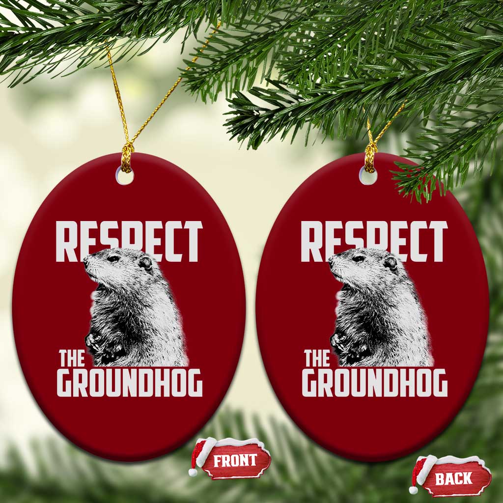 Respect The Groundhog Ceramic Ornament Funny Woodchuck Shadow Meteorlogy TS02 Print Your Wear