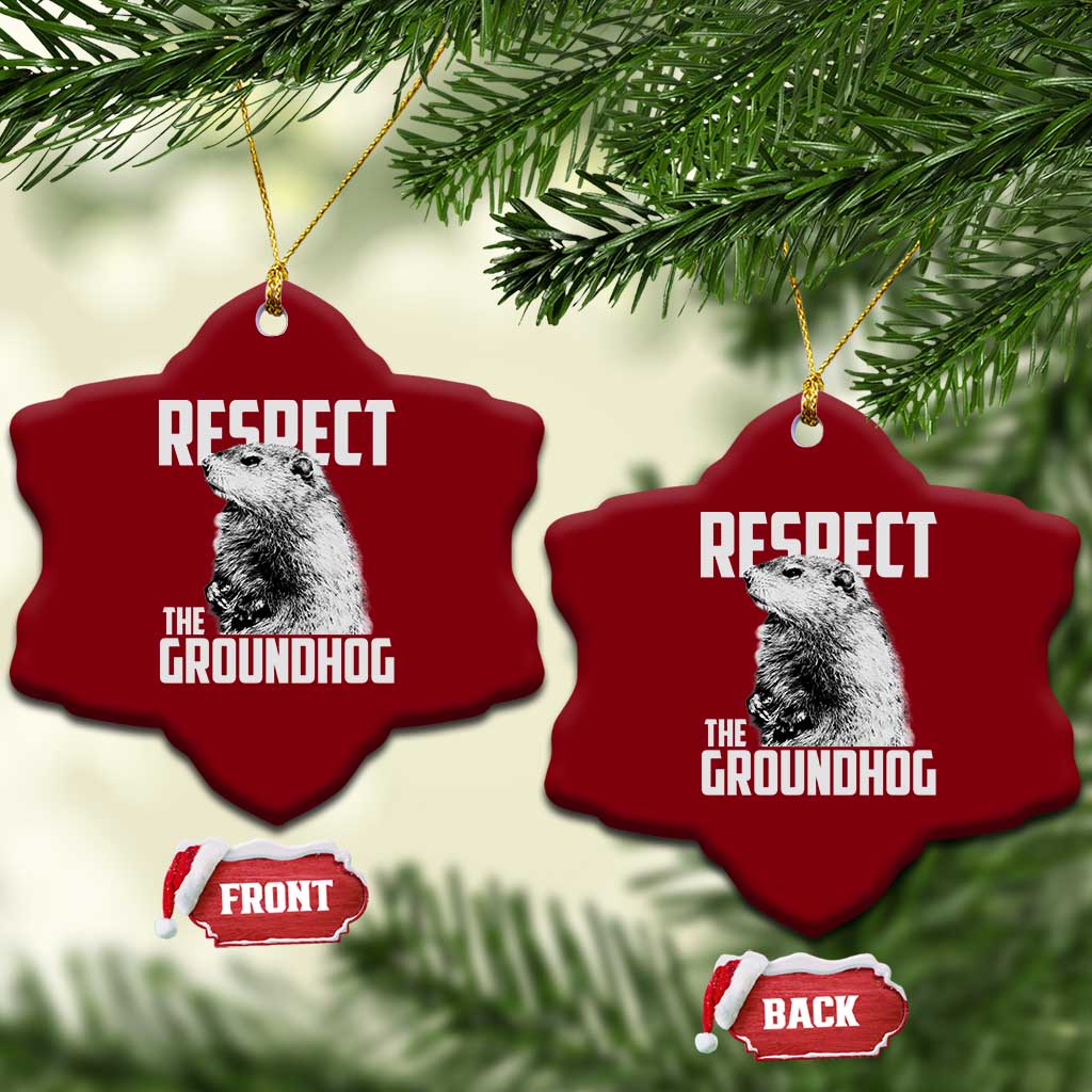 Respect The Groundhog Ceramic Ornament Funny Woodchuck Shadow Meteorlogy TS02 Print Your Wear