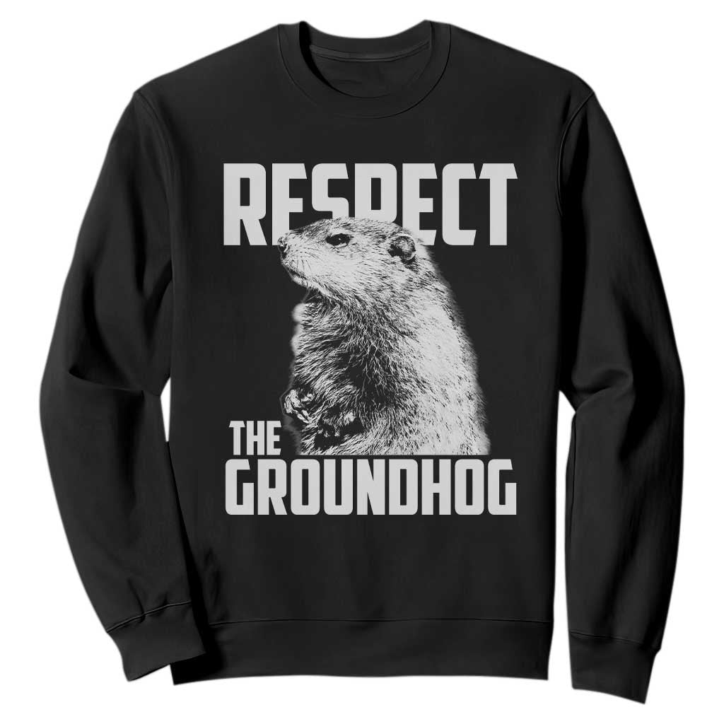 Respect The Groundhog Sweatshirt Funny Woodchuck Shadow Meteorlogy TS02 Black Print Your Wear