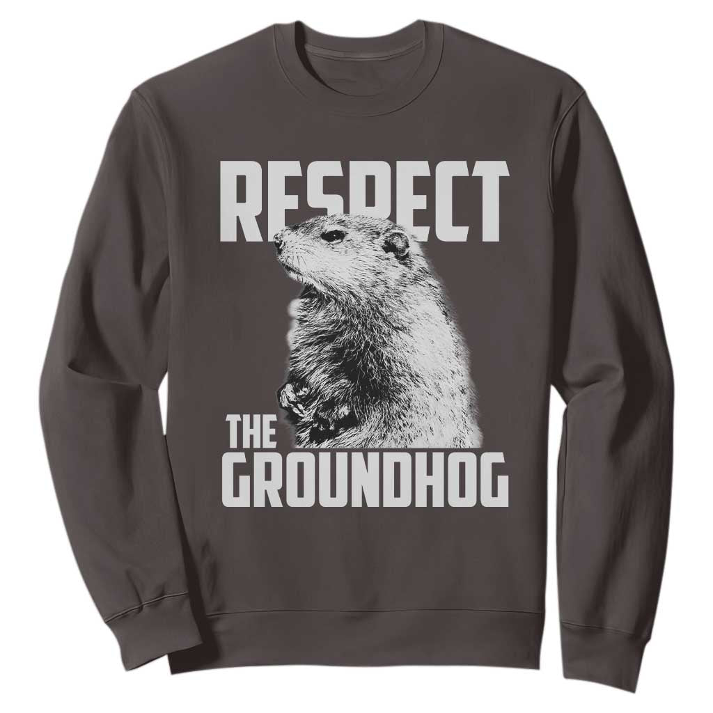 Respect The Groundhog Sweatshirt Funny Woodchuck Shadow Meteorlogy TS02 Dark Chocolate Print Your Wear
