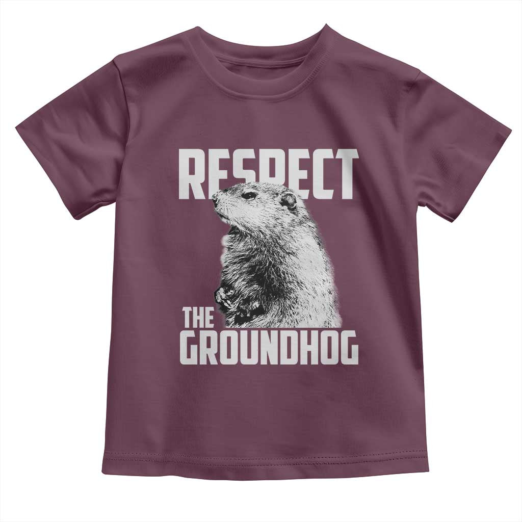 Respect The Groundhog Toddler T Shirt Funny Woodchuck Shadow Meteorlogy TS02 Maroon Print Your Wear