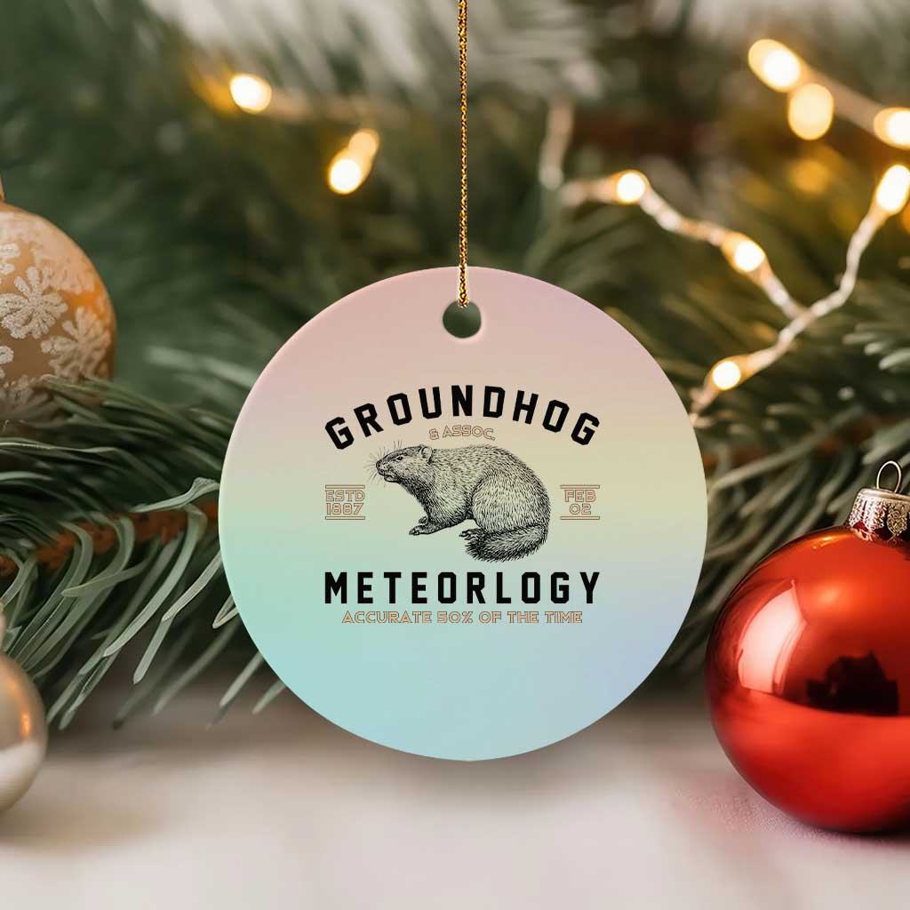 Groundhog Meteorology Ceramic Ornament Estd 1887 Accurate 50 Percent Of The Time Woodchuck TS02 1pc Pastel Print Your Wear
