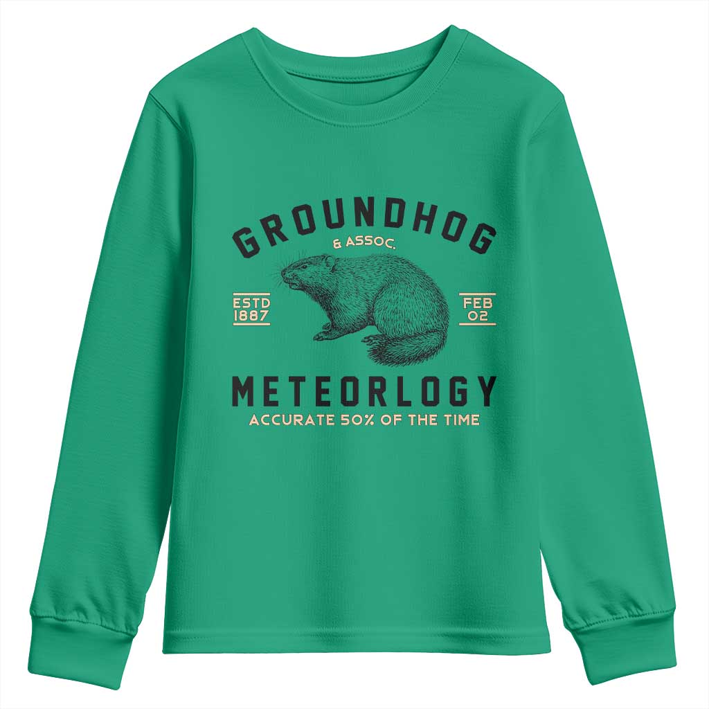 Groundhog Meteorology Youth Sweatshirt Estd 1887 Accurate 50 Percent Of The Time Woodchuck TS02 Irish Green Print Your Wear