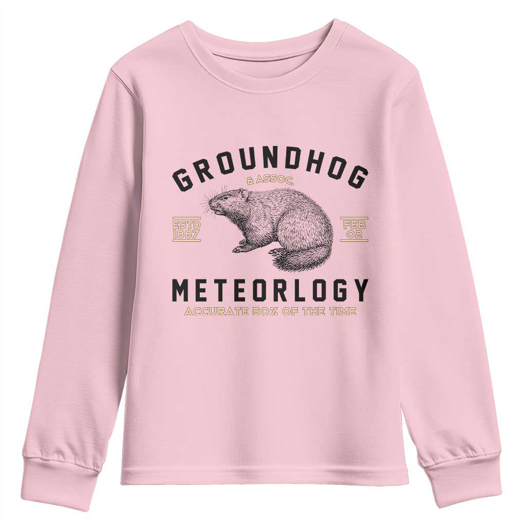Groundhog Meteorology Youth Sweatshirt Estd 1887 Accurate 50 Percent Of The Time Woodchuck TS02 Light Pink Print Your Wear