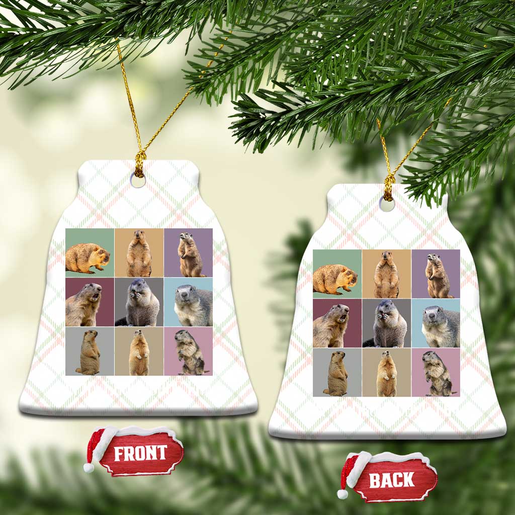 In My Groundhog Era Ceramic Ornament Funny Woodchuck TS02 Print Your Wear