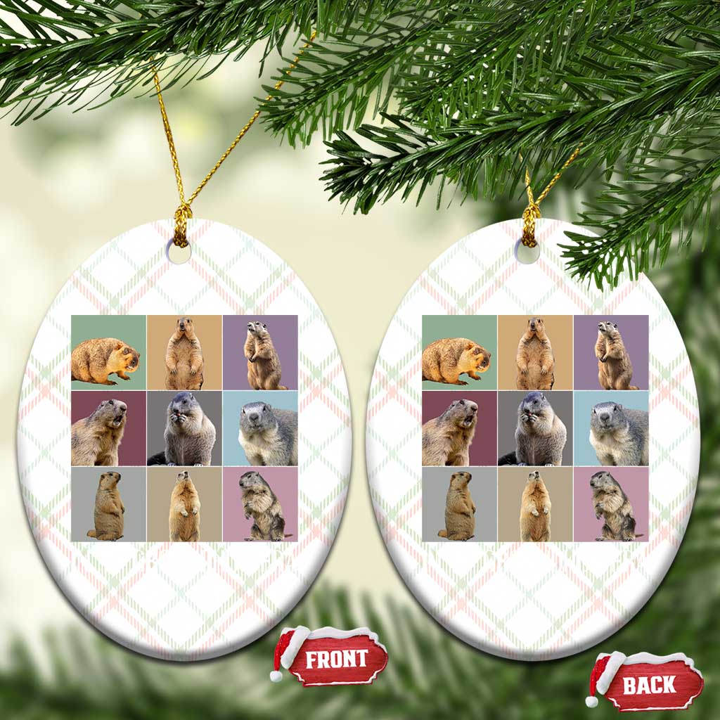 In My Groundhog Era Ceramic Ornament Funny Woodchuck TS02 Print Your Wear