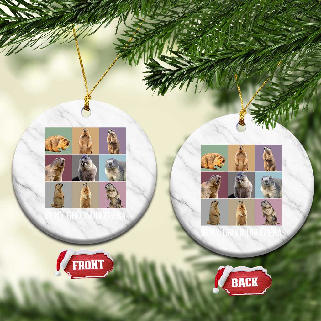 In My Groundhog Era Ceramic Ornament Funny Woodchuck TS02 1pc White Marble Print Your Wear