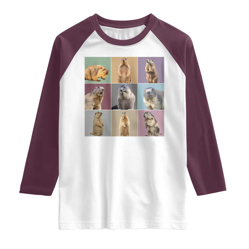 In My Groundhog Era Raglan Shirt Funny Woodchuck TS02 White Maroon Print Your Wear