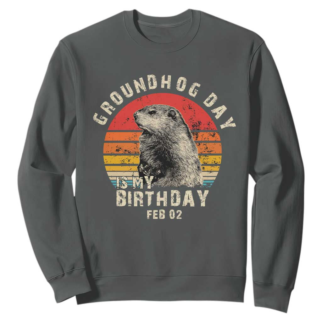 Groundhog Day Is My Birthday Sweatshirt Funny Woodchuck Retro Vintage TS02 Dark Heather Print Your Wear