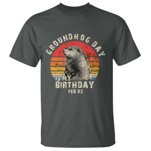 Groundhog Day Is My Birthday T Shirt Funny Woodchuck Retro Vintage TS02 Dark Heather Print Your Wear