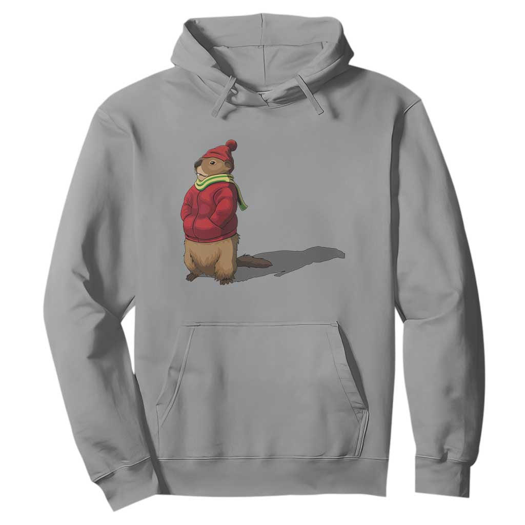 Groundhog Shadow Hoodie Funny Woodchuck Ground Hog Meteorlogy TS02 Sport Gray Print Your Wear