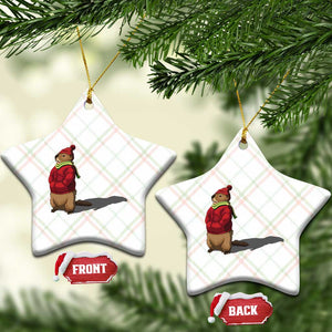 Groundhog Shadow Ceramic Ornament Funny Woodchuck Ground Hog Meteorlogy TS02 Print Your Wear