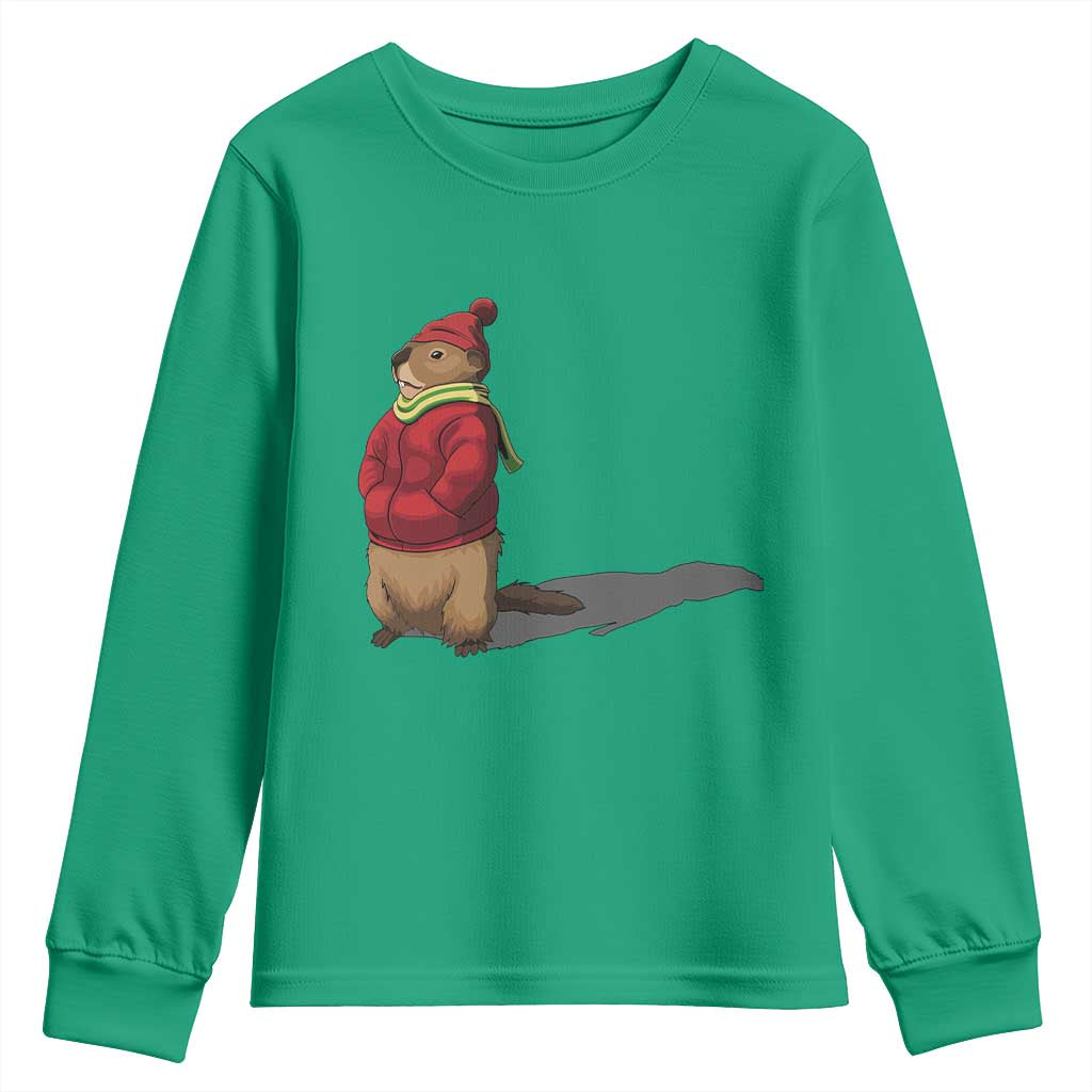 Groundhog Shadow Youth Sweatshirt Funny Woodchuck Ground Hog Meteorlogy TS02 Irish Green Print Your Wear