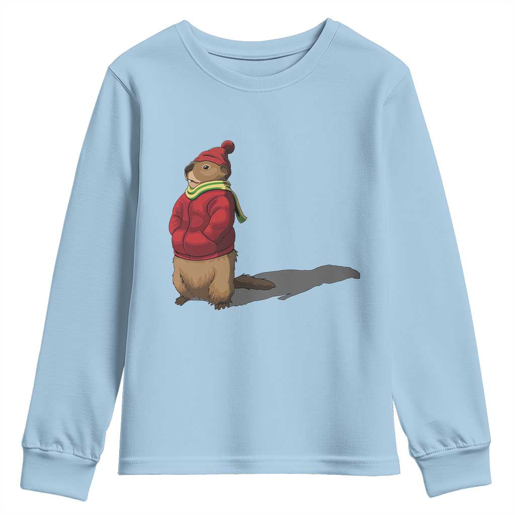 Groundhog Shadow Youth Sweatshirt Funny Woodchuck Ground Hog Meteorlogy TS02 Light Blue Print Your Wear
