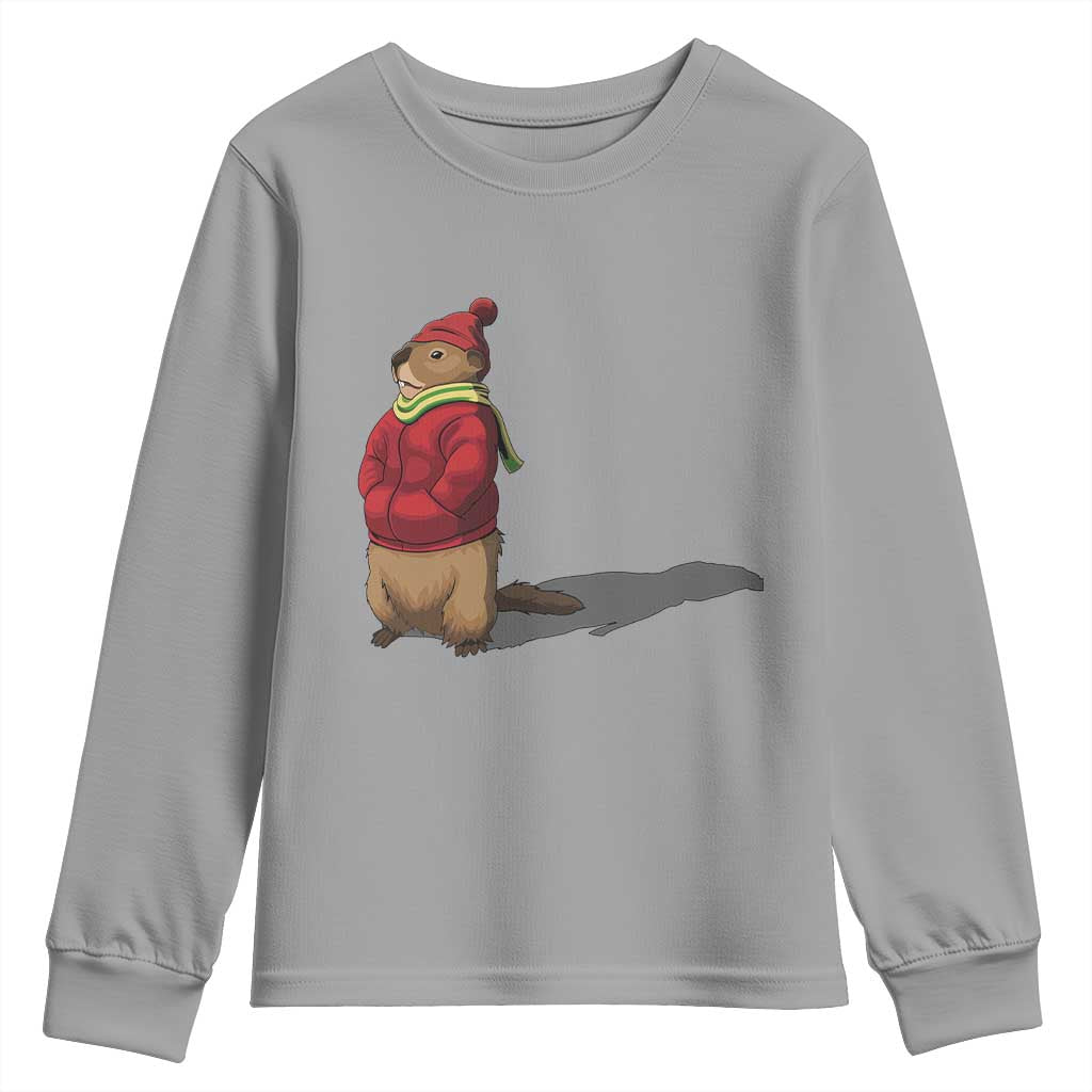 Groundhog Shadow Youth Sweatshirt Funny Woodchuck Ground Hog Meteorlogy TS02 Sport Gray Print Your Wear