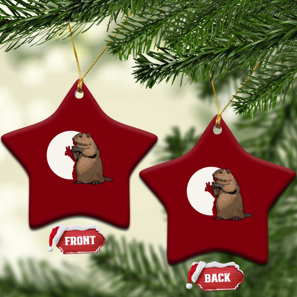 Groundhog Shadow Meteorlogy Ceramic Ornament Woodchuck Puppet Funny Gift TS02 Print Your Wear