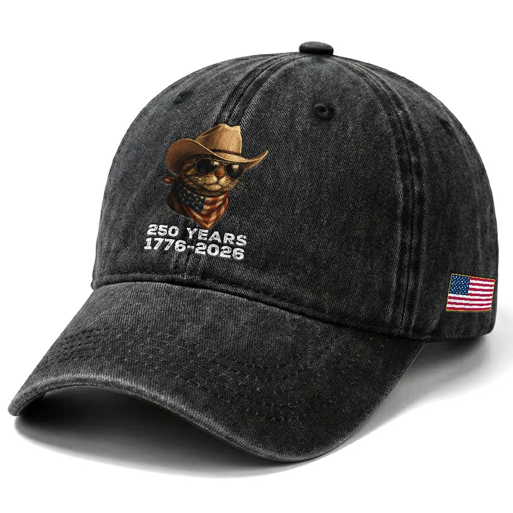 Cool Cowboy Cat 250 Years Washed Cotton Baseball Cap Funny Patriotic 1776 to 2026 US Semiquincentennial TS02 Print Your Wear