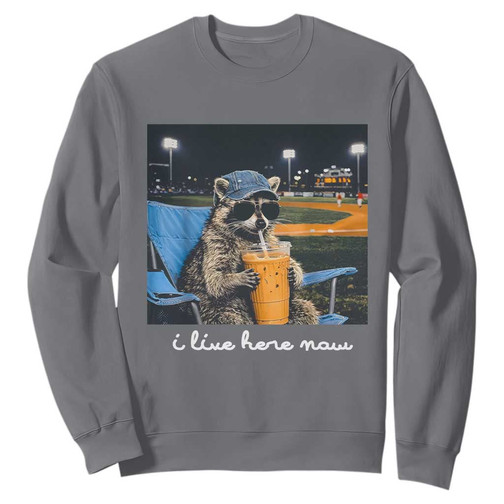 Funny Raccoon Baseball Game Day Meme Sweatshirt I Live Here Now Trash Panda Iced Coffee Night TS02 Charcoal Print Your Wear