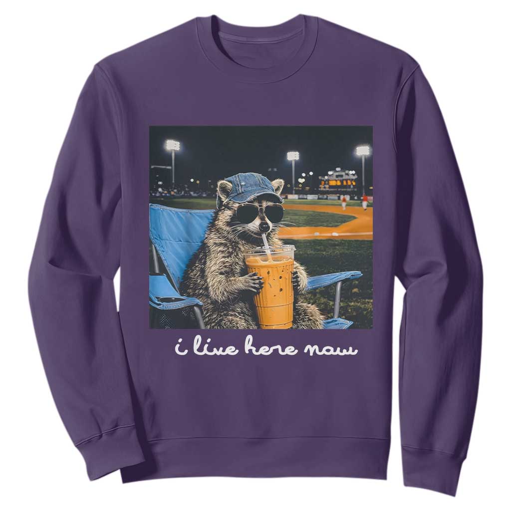Funny Raccoon Baseball Game Day Meme Sweatshirt I Live Here Now Trash Panda Iced Coffee Night TS02 Purple Print Your Wear