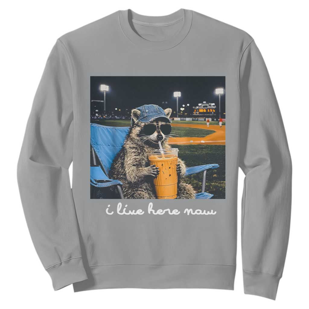 Funny Raccoon Baseball Game Day Meme Sweatshirt I Live Here Now Trash Panda Iced Coffee Night TS02 Sport Gray Print Your Wear