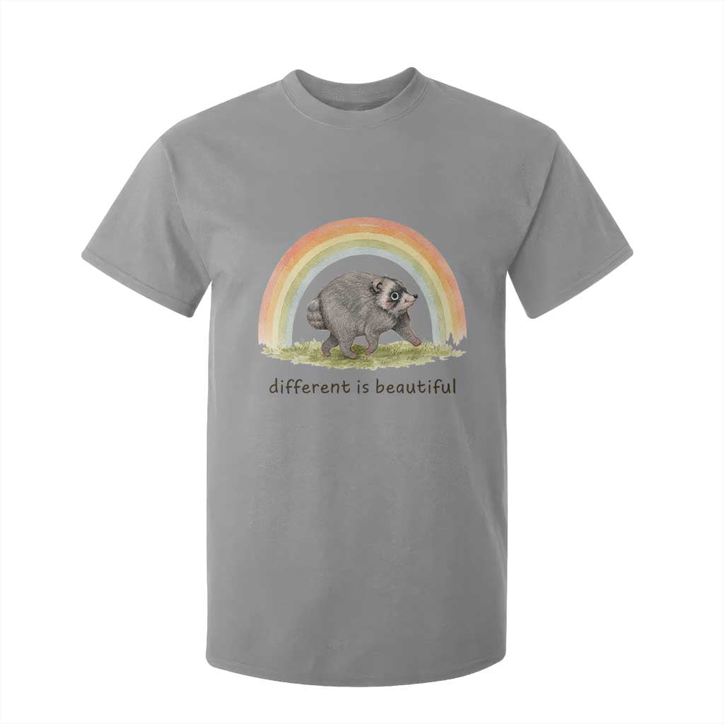 Cute Viral Raccoon Positive Quote T Shirt For Kid Different Is Beautiful Pastel Rainbow Graphic TS02 Sport Gray Print Your Wear