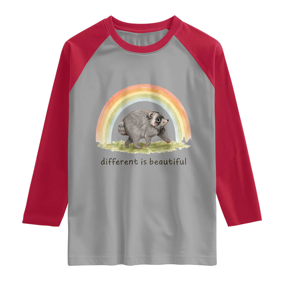 Cute Viral Raccoon Positive Quote Raglan Shirt Different Is Beautiful Pastel Rainbow Graphic