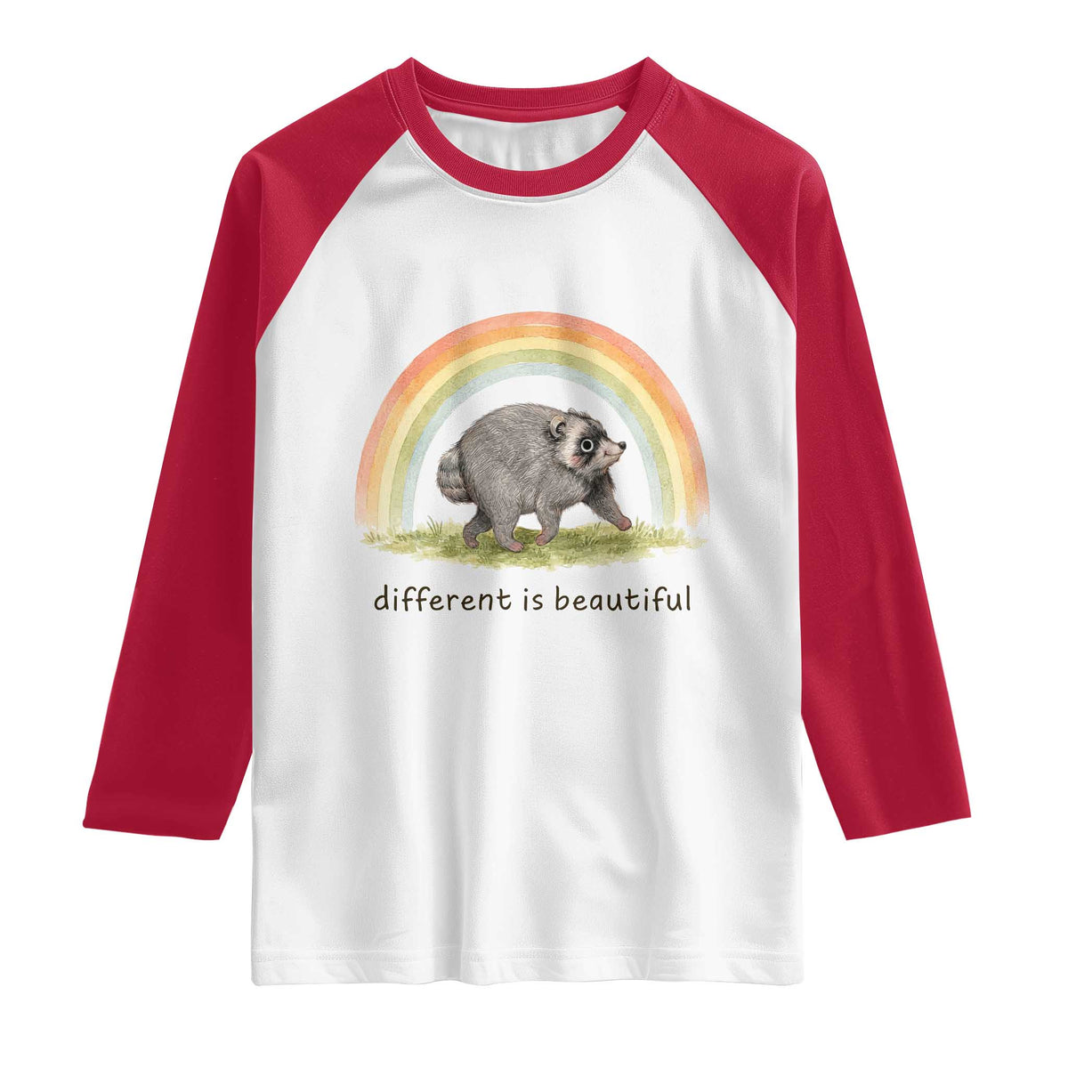 Cute Viral Raccoon Positive Quote Raglan Shirt Different Is Beautiful Pastel Rainbow Graphic